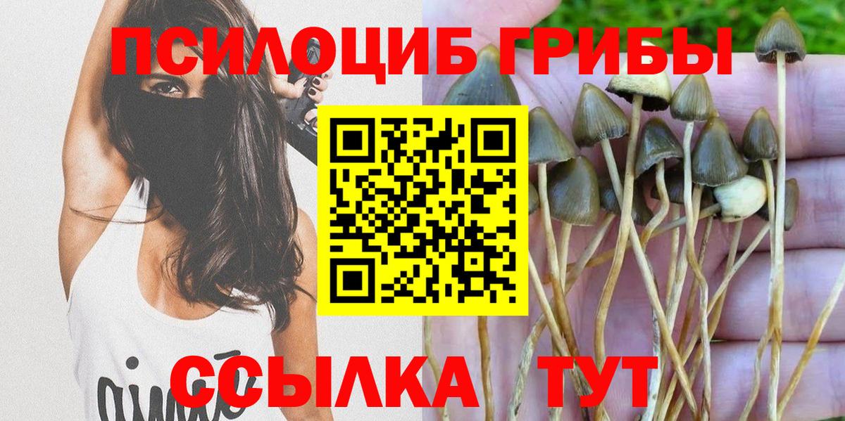 Моршанск  Псилоцибиновые грибы Psilocybine cubensis  хочу наркоту  Вход с VPN 