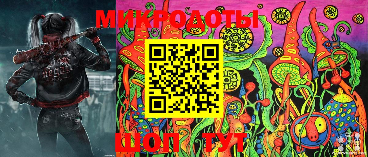 Псилоцибиновые грибы Psilocybe Моршанск